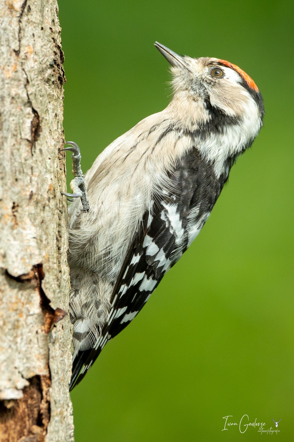 13 augustus 2023 122036  R2A6538